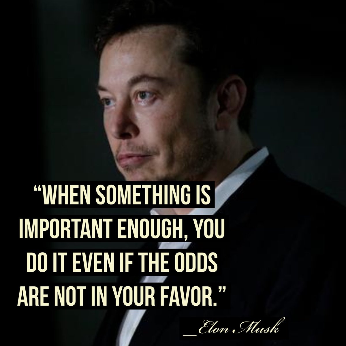 Lindsey 🇺🇸🐝 tweet media