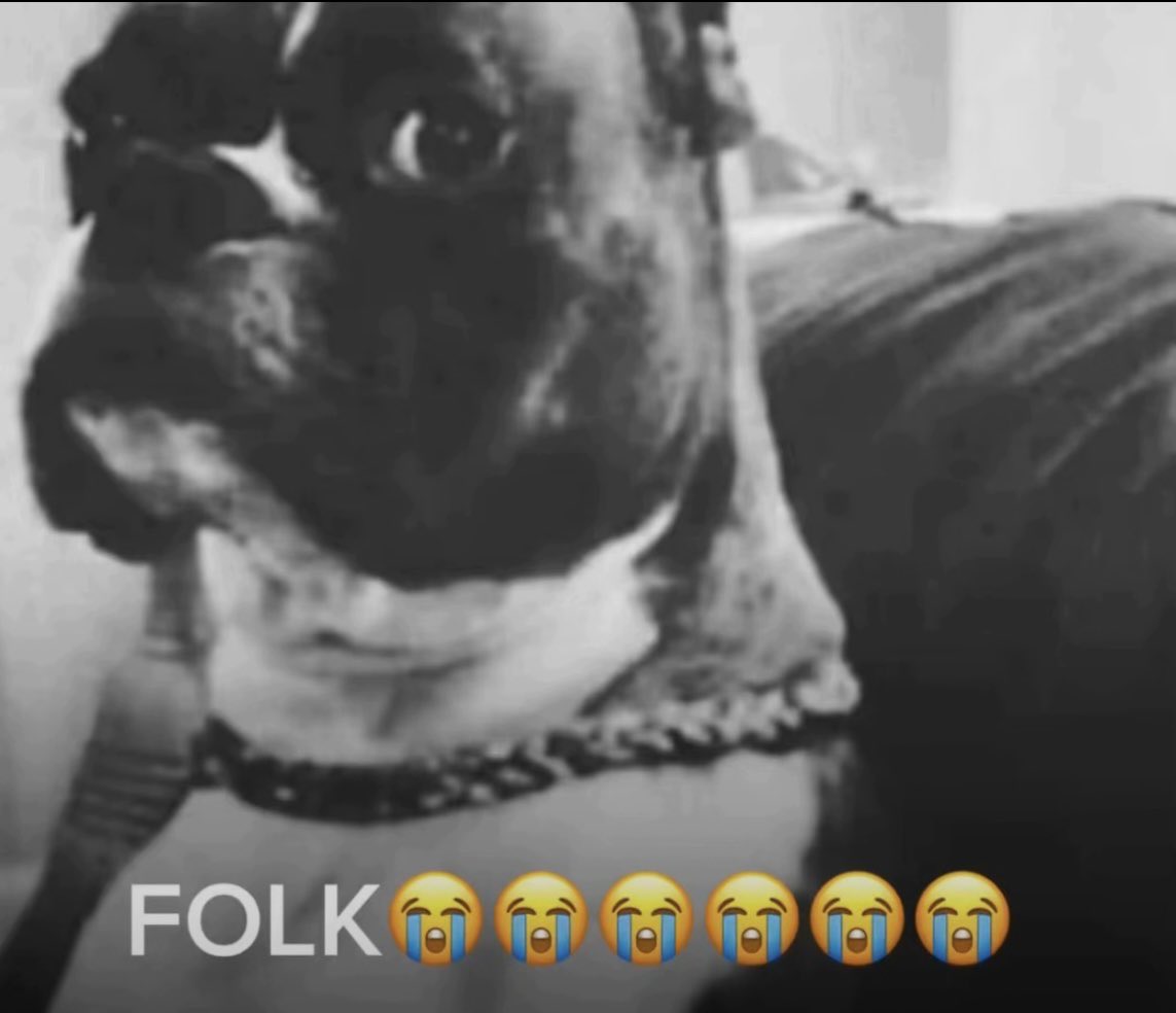 Cougar Connoisseur tweet media