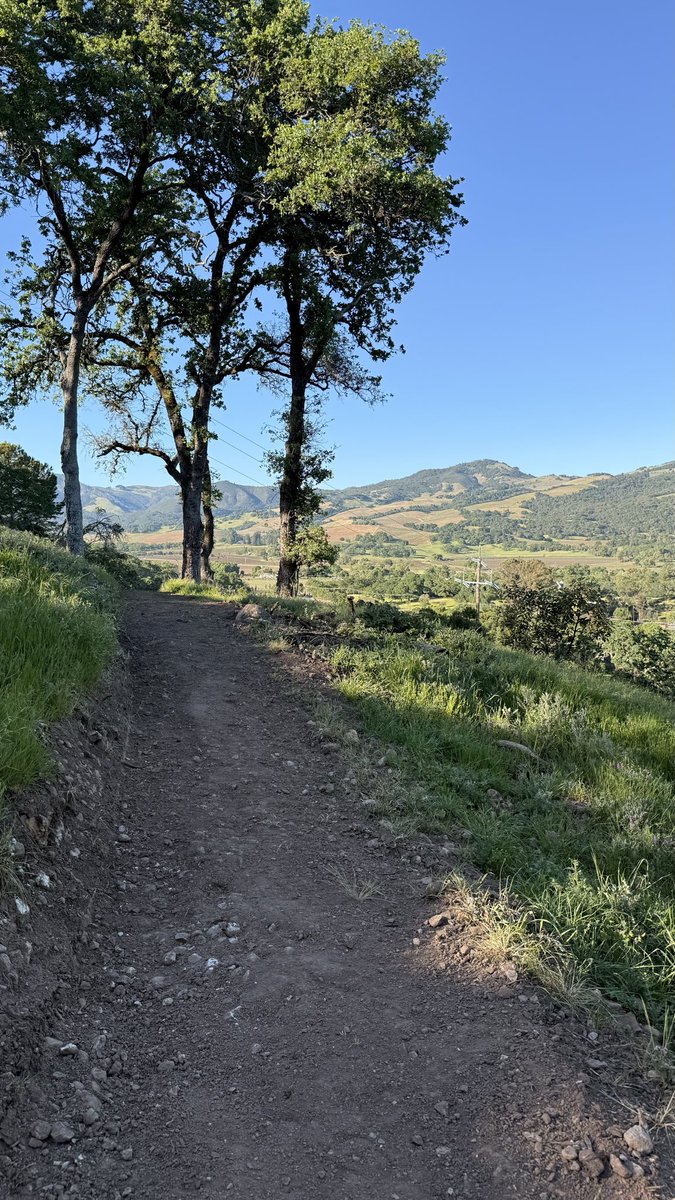 John Wolthuis tweet media