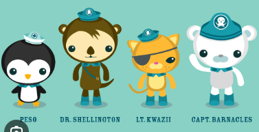 Spot 🫎🐢 tweet media