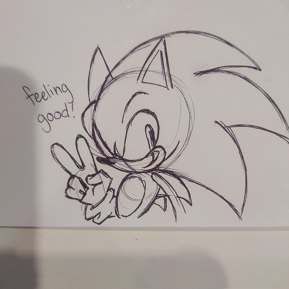 rocket dog~!! 🍉 tweet media