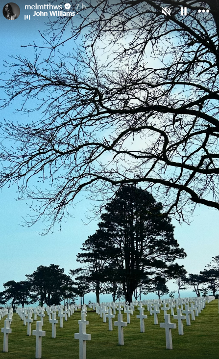 SDL btw... tweet media