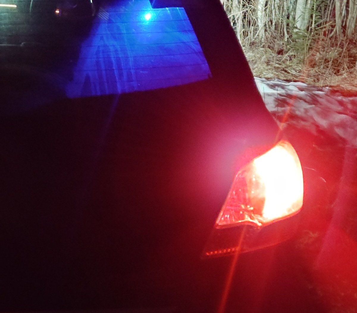 hyperwolf 🐺🐴🌌🛸🇰🇵 tweet media