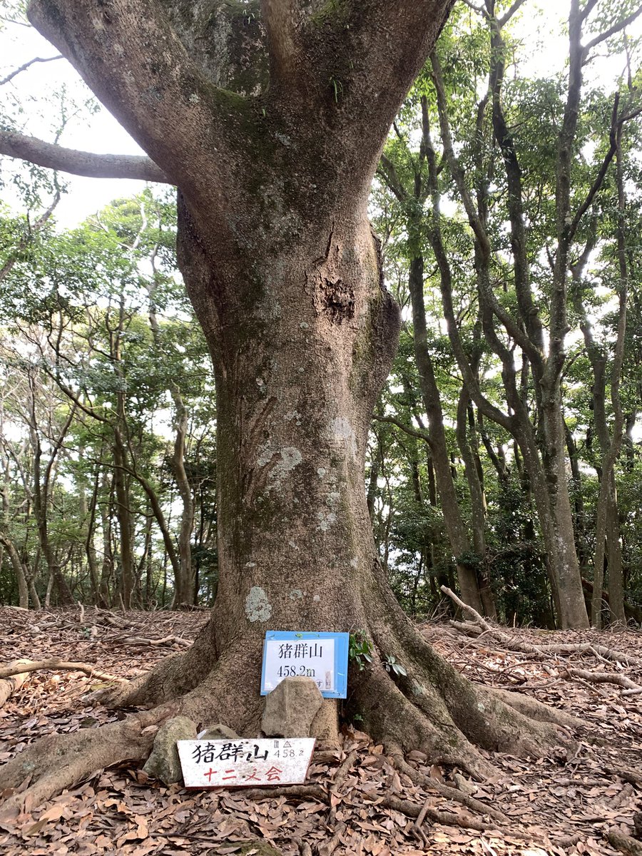tanu_mr2's tweet photo. 猪群山山頂まで無事に登れました！ https://t.co/azdw8fwIXI