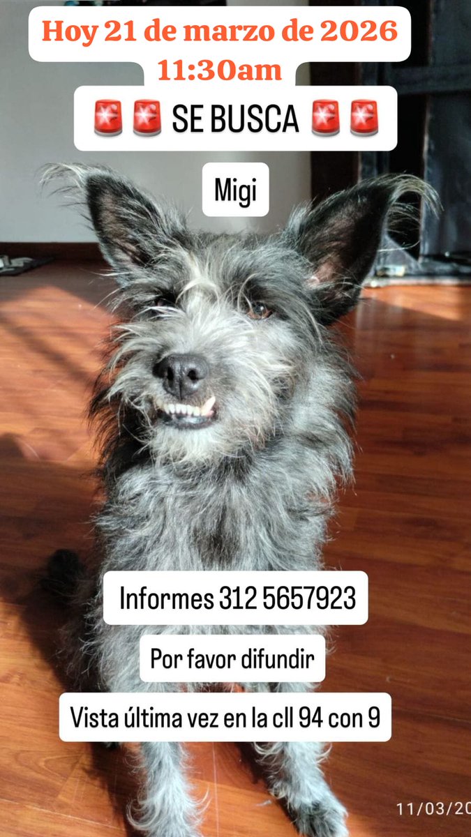 Margarita Vela 🌳🍀🌽🌼 tweet media