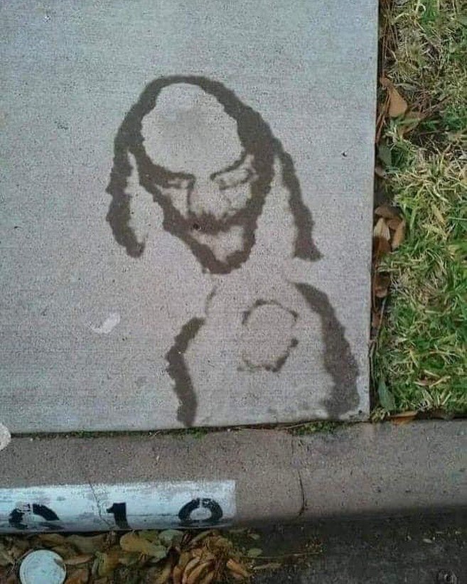 brain crumbs 𖡎 tweet media