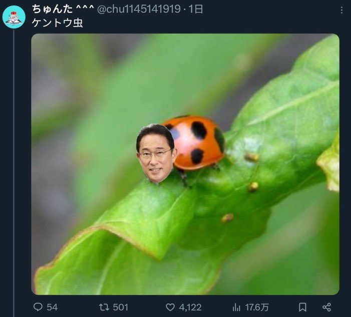 ネットのホンモノ図鑑 tweet media