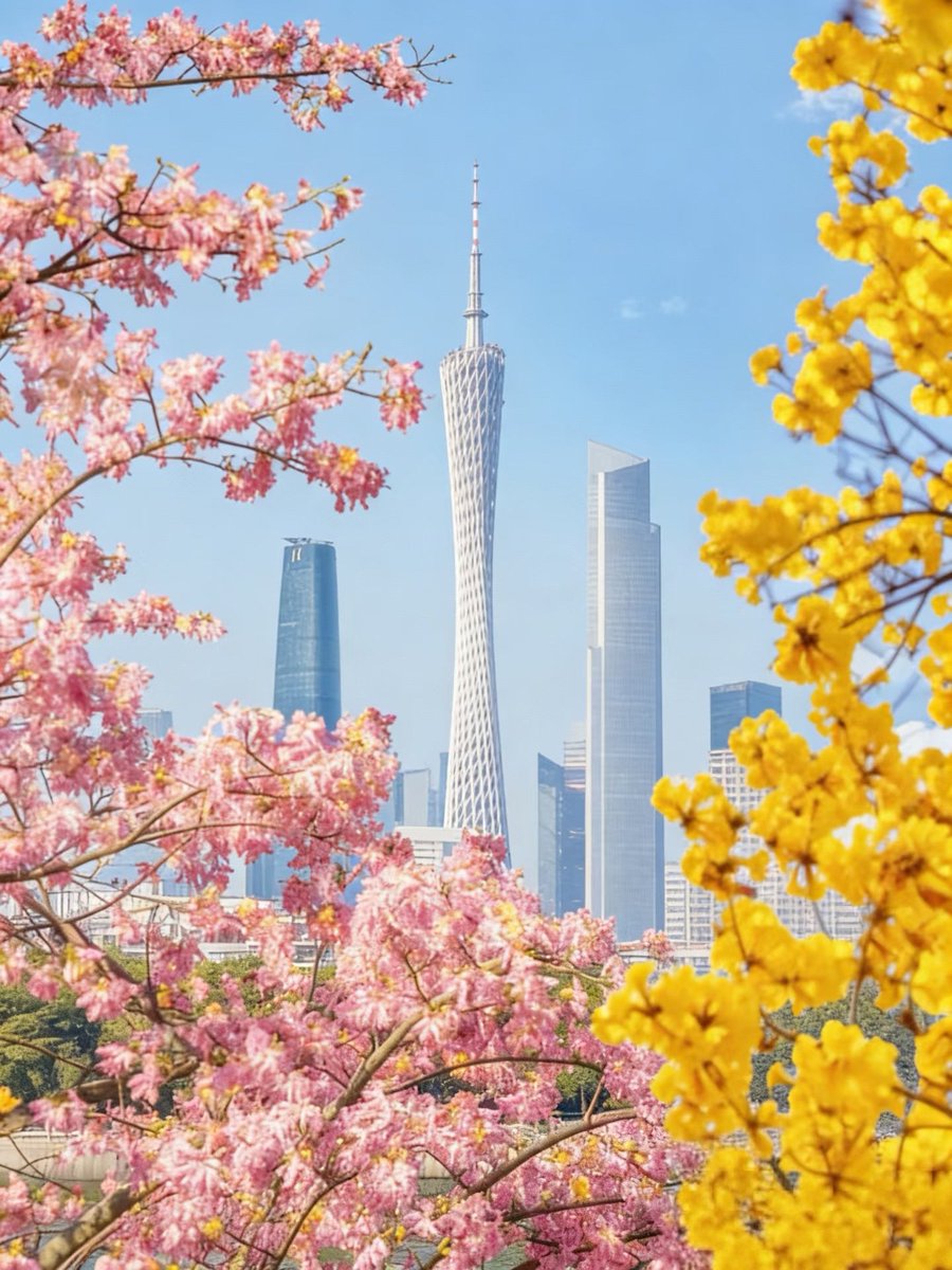 Fanyi🦋🌸 tweet media