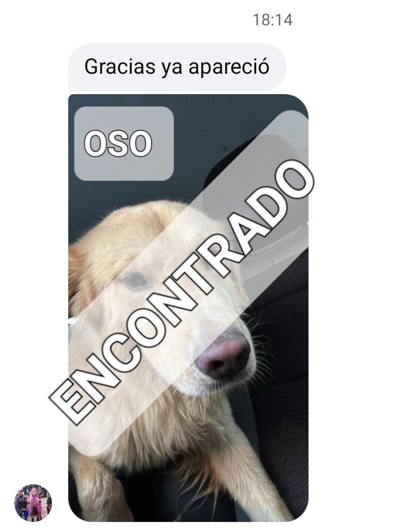 Alerta me perdi tweet media