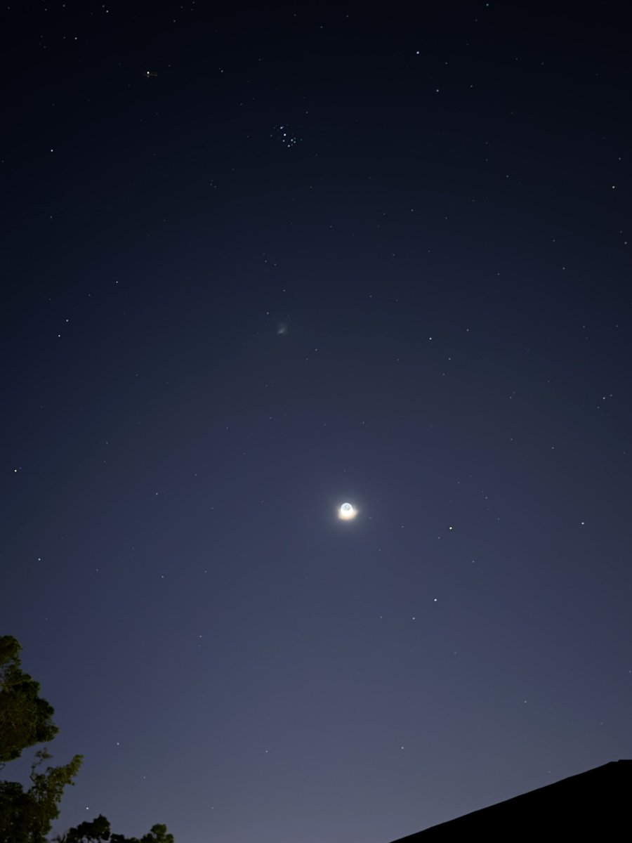 firtive 🍂 tweet media