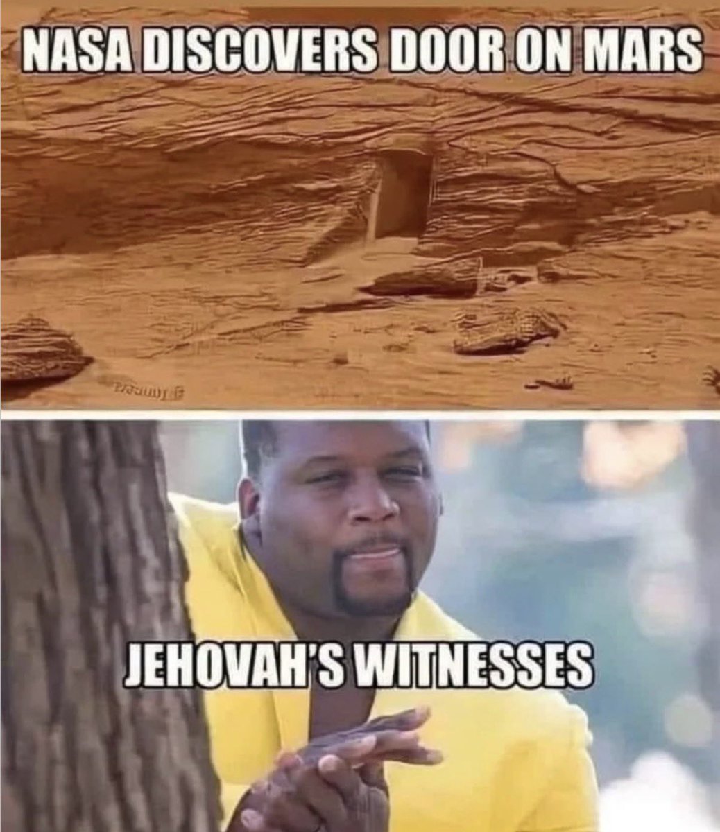 TheLizVariant tweet media