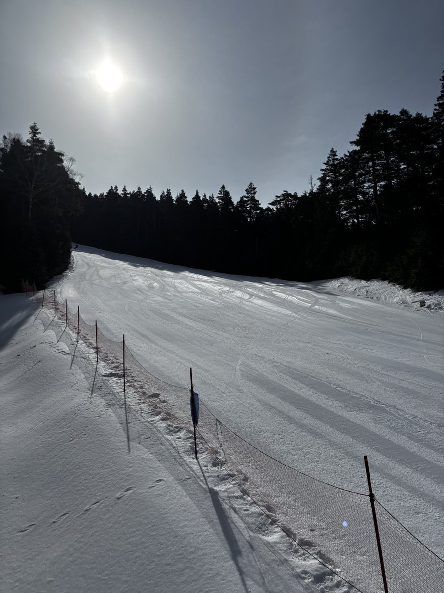 野麦峠スキー場@営業中 tweet media