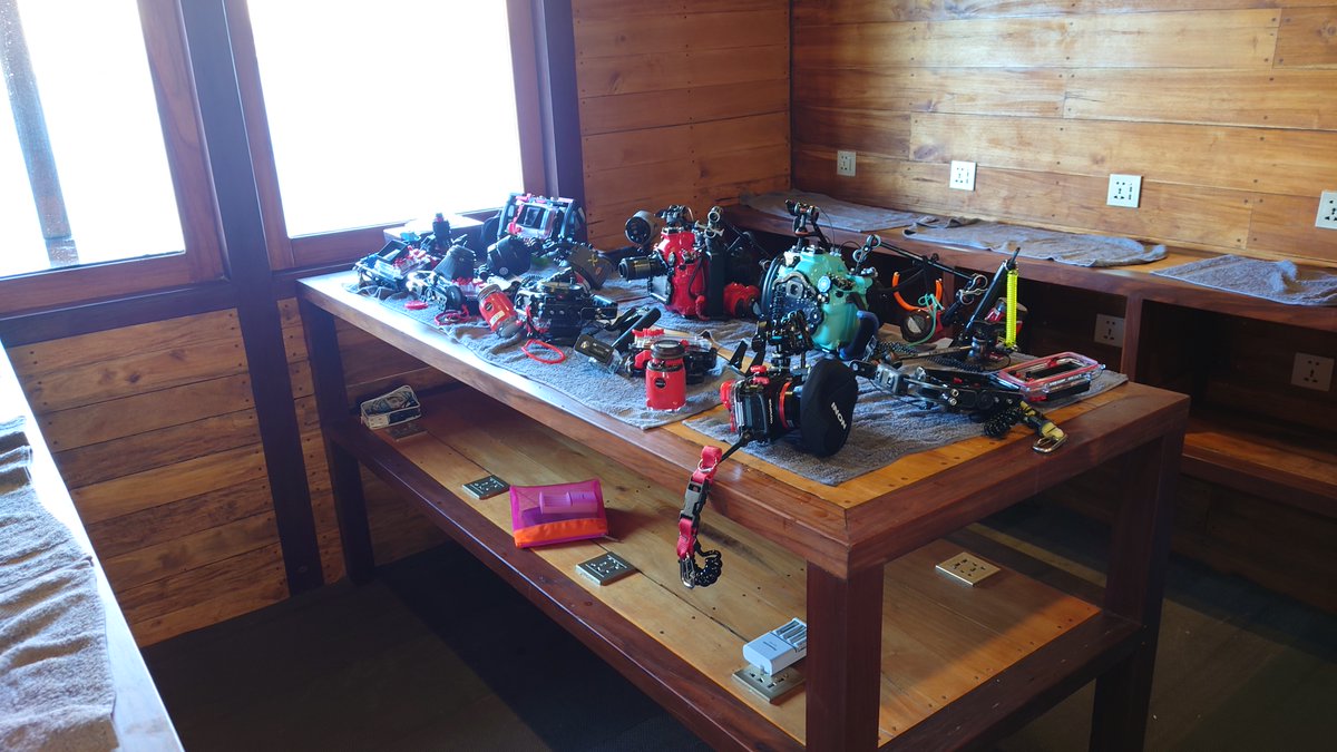 SeichanLog's tweet photo. 1泊58,000円のダイビングクルーズ（日本人専用船）を5泊も予約してしまいました。
この遊びもそろそろ潮時かなぁ…
飛行機トラブル多すぎで、行くのがめんどくさくなってきました。 https://t.co/OsHe9XzdJ4