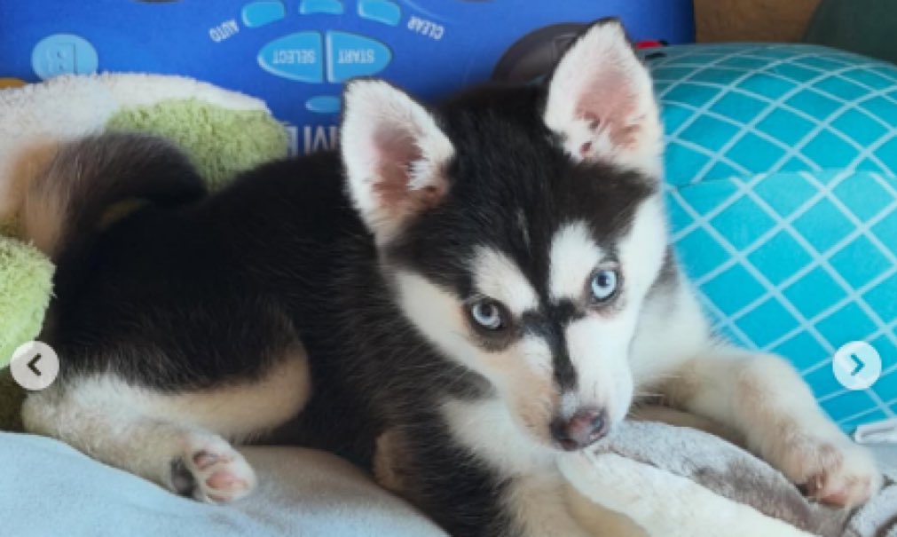 3volve6ix tweet media