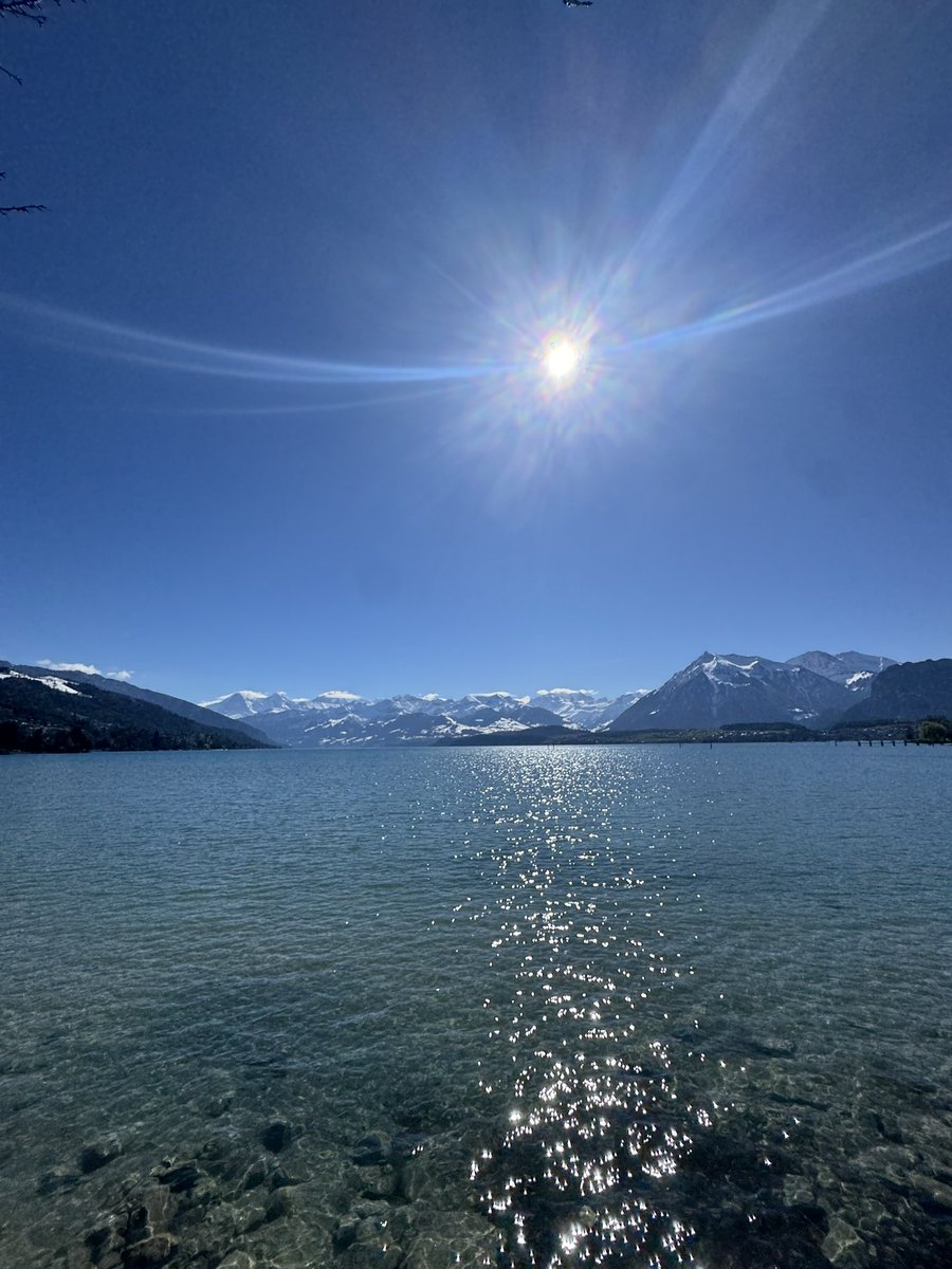 ガキアカメ tweet media