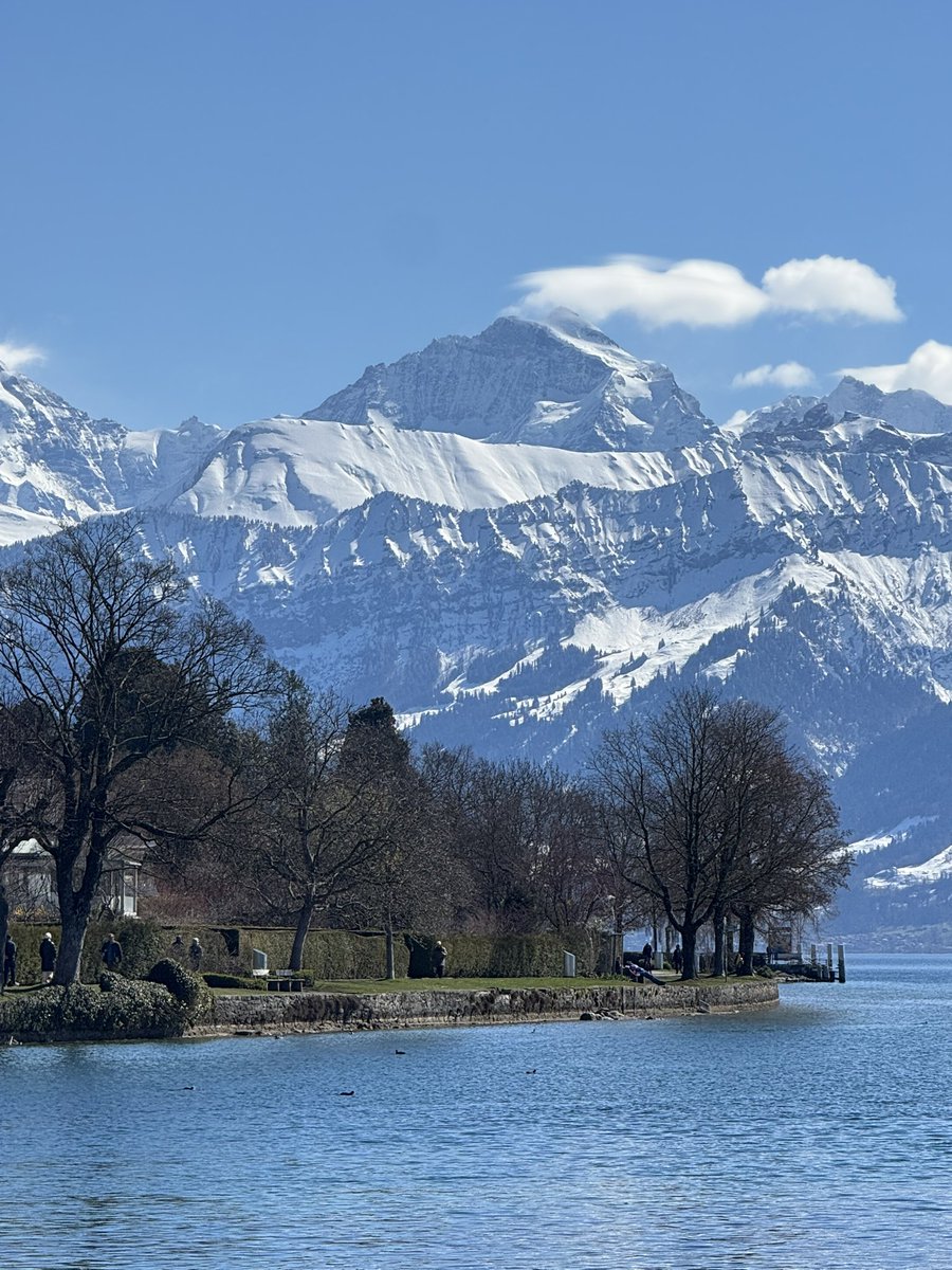 ガキアカメ tweet media