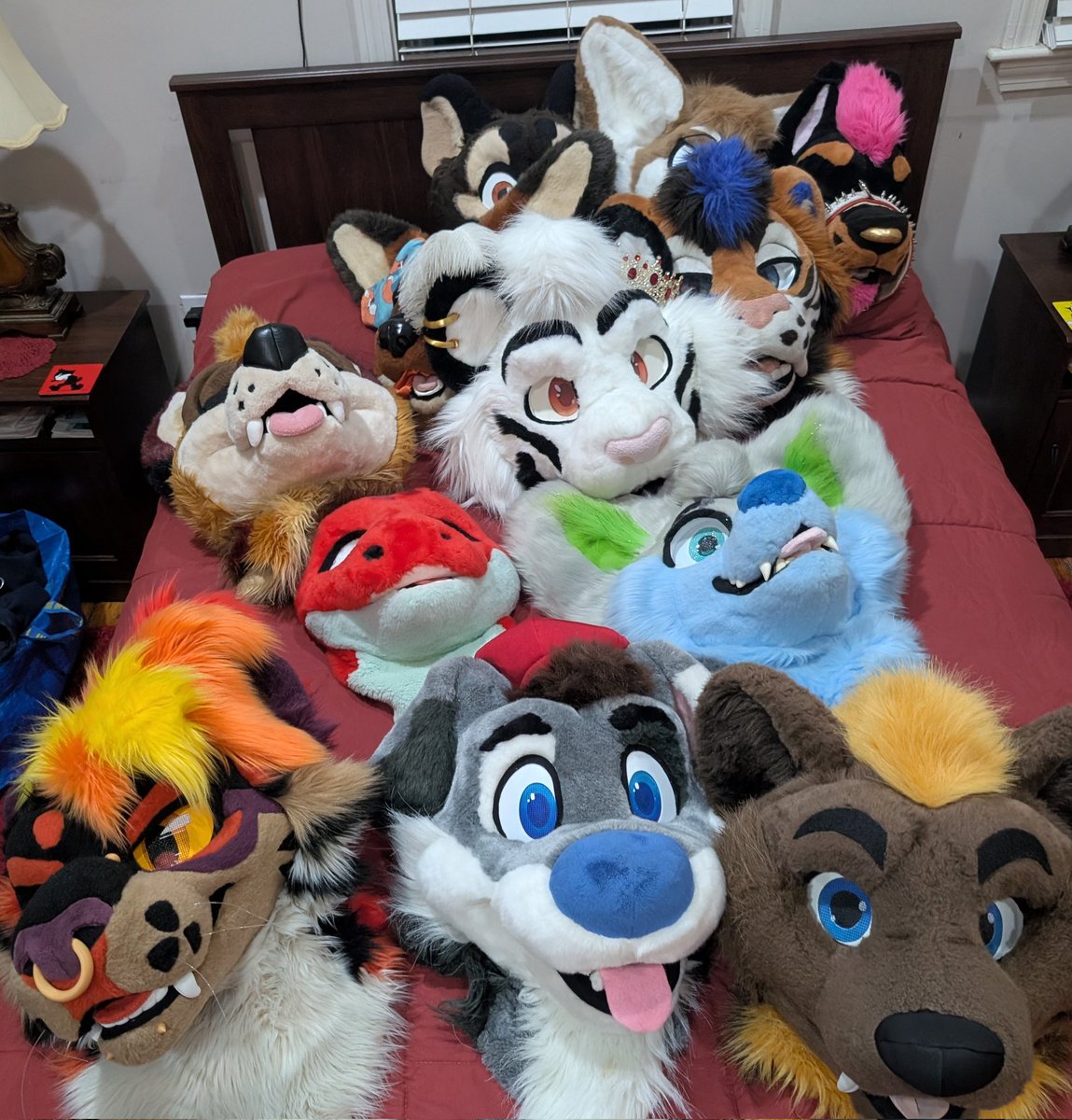 Akkord 👑 🇺🇦 🔜 FCL tweet media