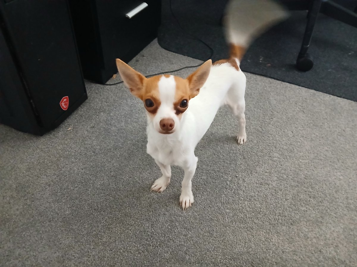 kriddius tweet media