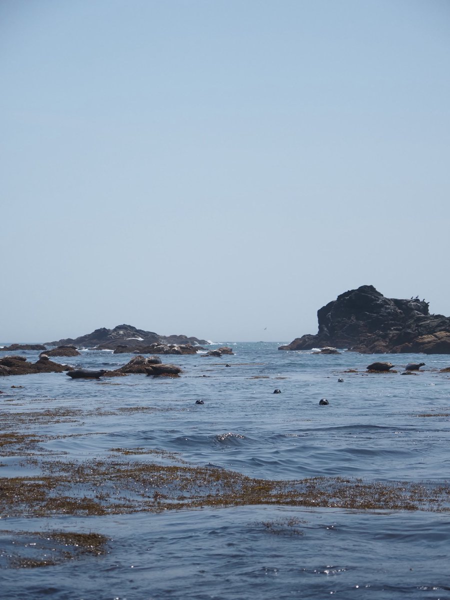 札幌市円山動物園（公式） tweet media