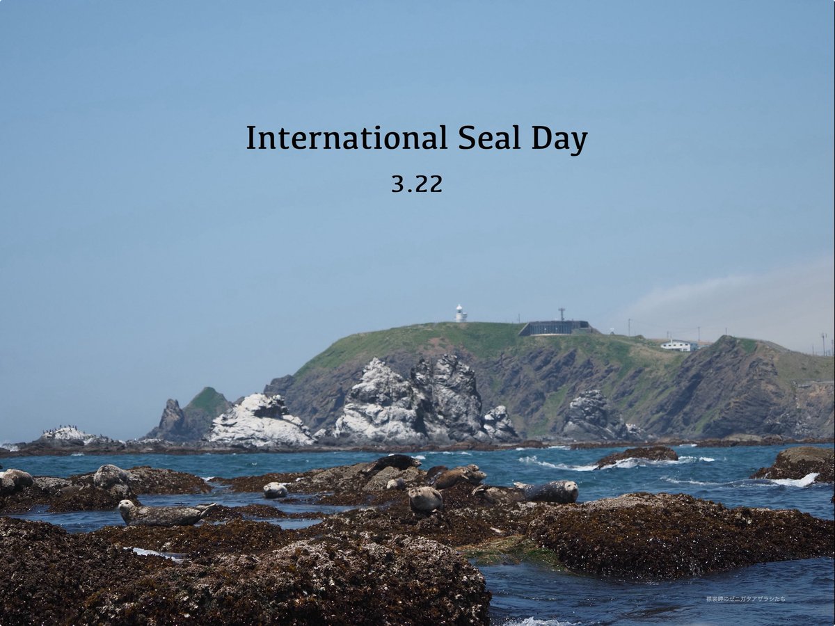 札幌市円山動物園（公式） tweet media