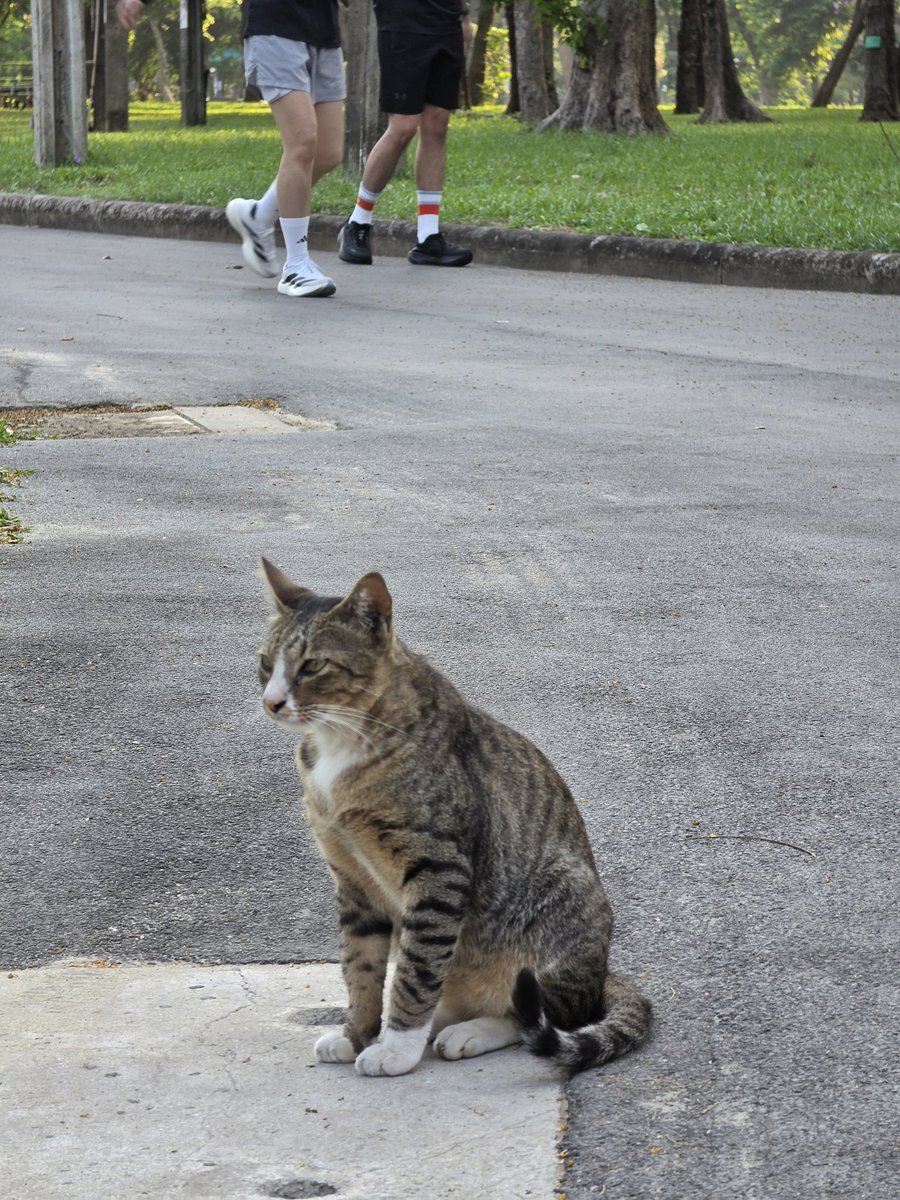 ตั้มตั้ม 😗 tweet media