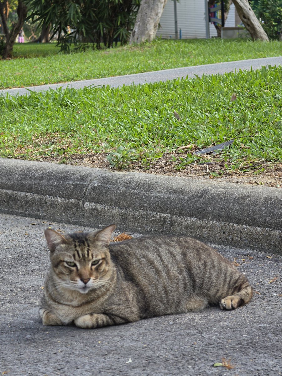 ตั้มตั้ม 😗 tweet media