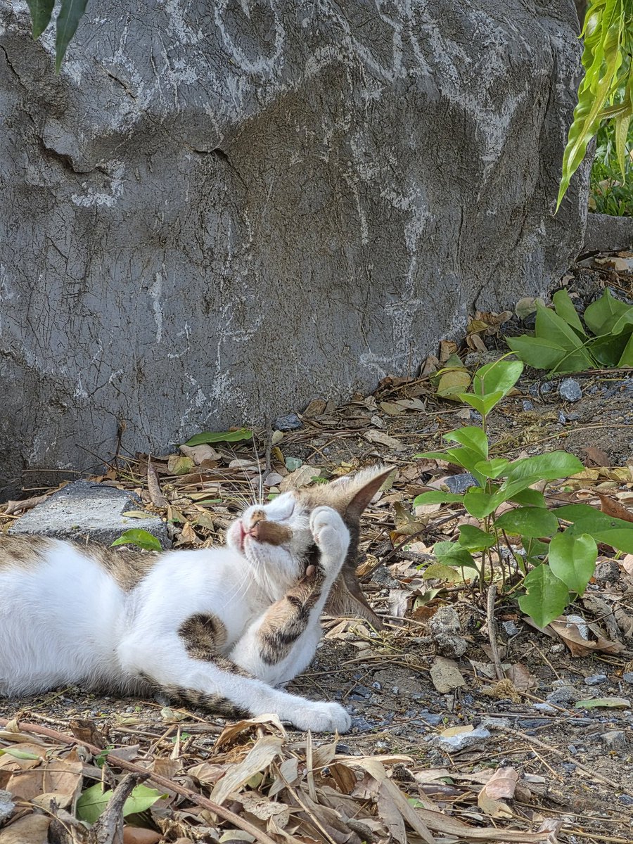 ตั้มตั้ม 😗 tweet media