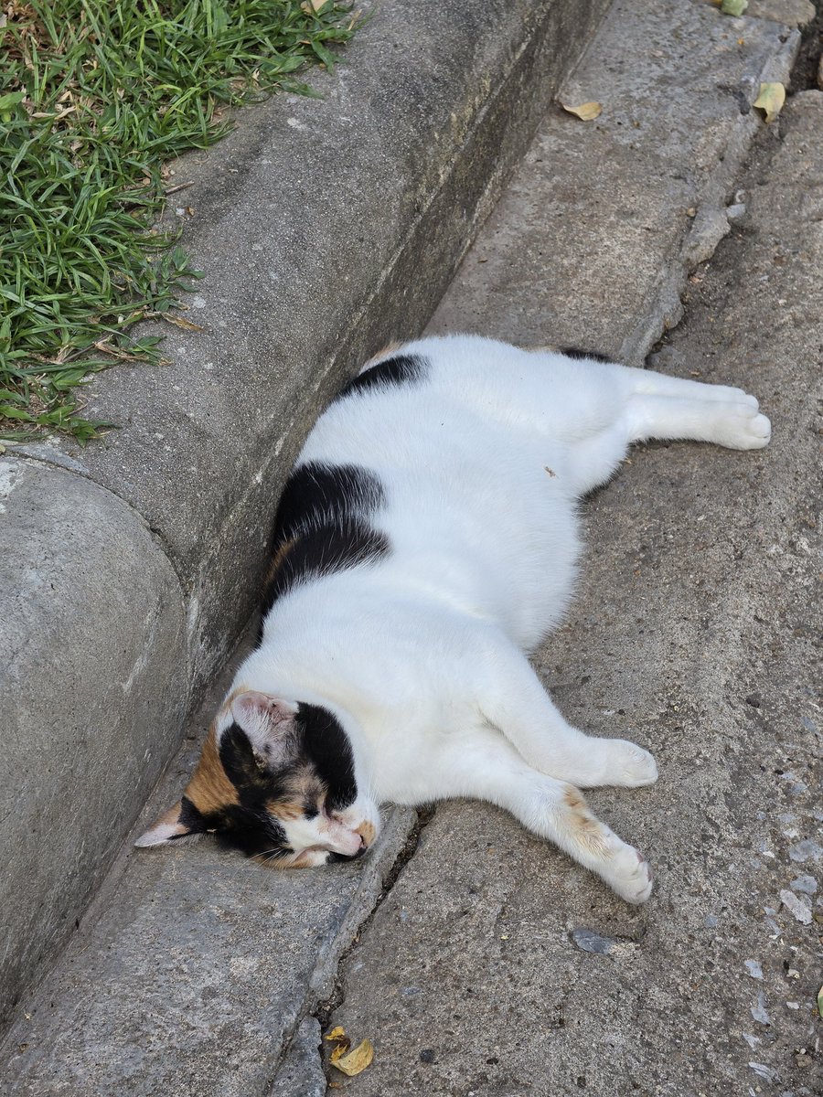 ตั้มตั้ม 😗 tweet media