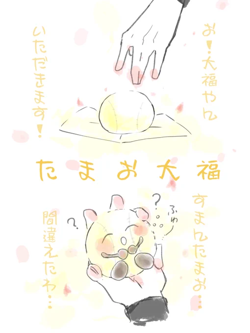 もちもちふわふわまんまるで
うっかり見違えそうなイメージ 