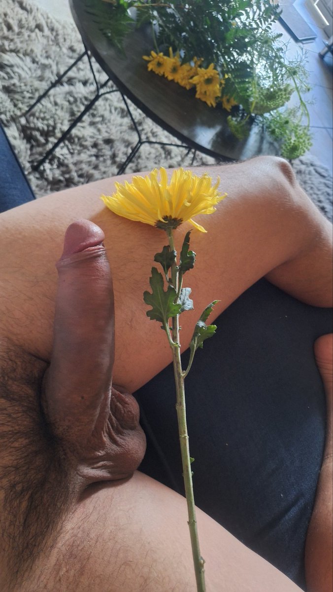 PσʂҽιԃσɳPαρι tweet media