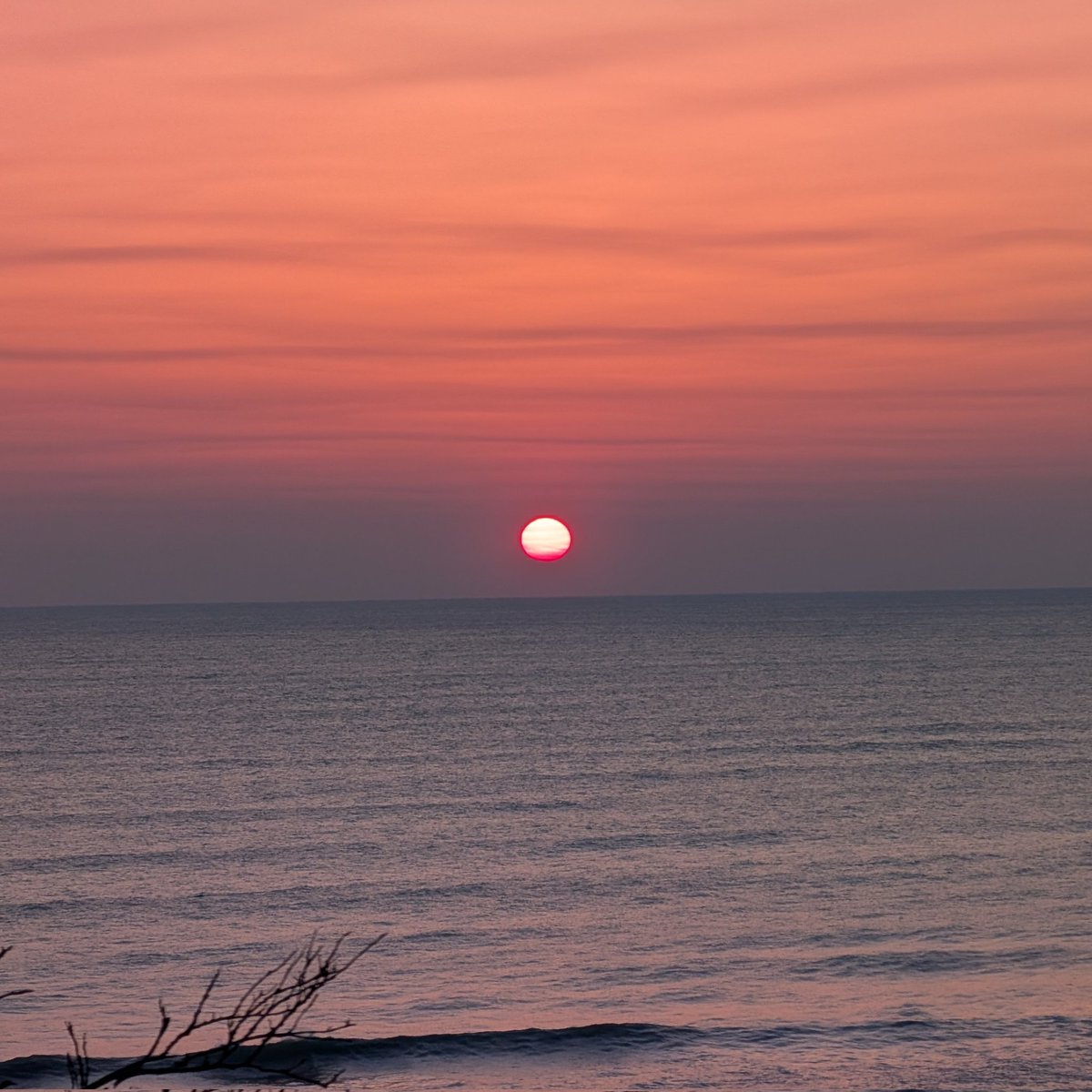 STRIKE A CHORD tweet media