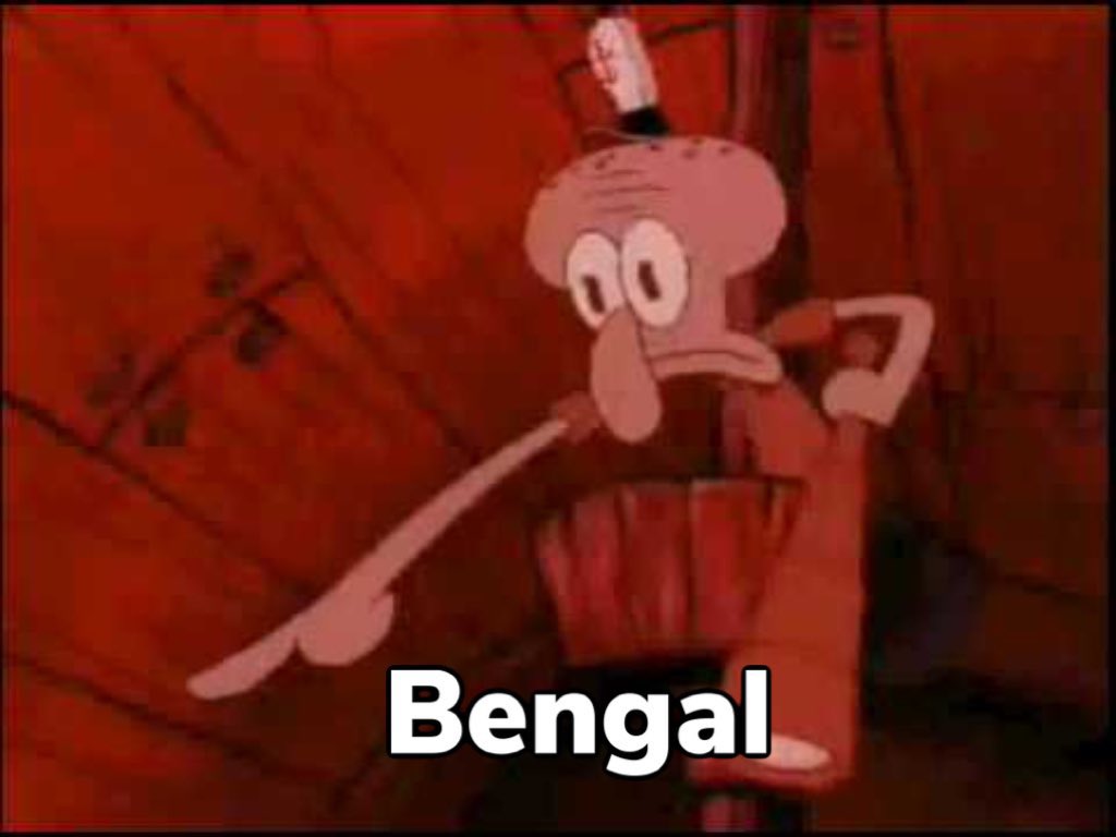 Bengals B tweet media