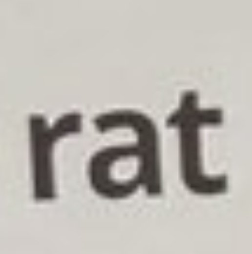 ♀️Lucía🏳️‍⚧️🇸🇻🇲🇽🇵🇸🇨🇩🇸🇩🇺🇦🇾🇪🇦🇲🇧🇩 tweet media