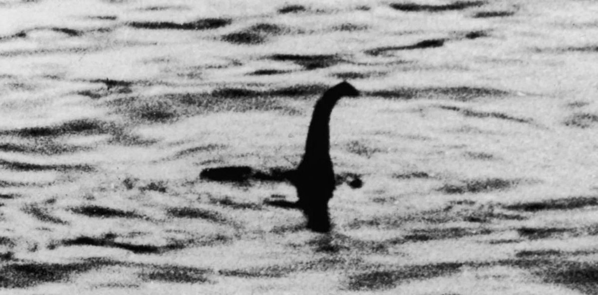 Sarah 𝐿𝐿𝐼𝐹𝒮 🇦🇺 tweet media