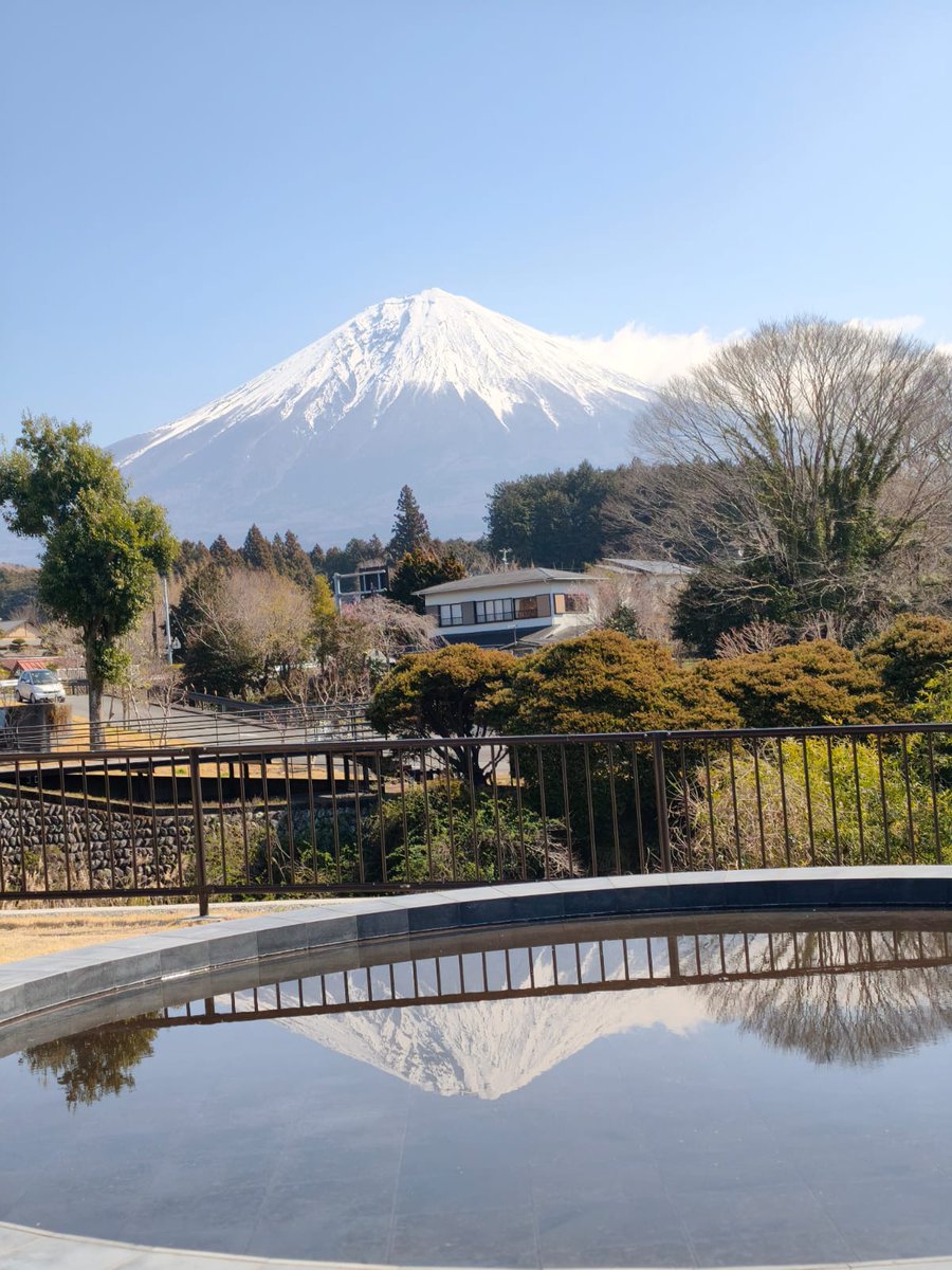 Xiǎo Guāngyǐng (小光影)🍁 tweet media