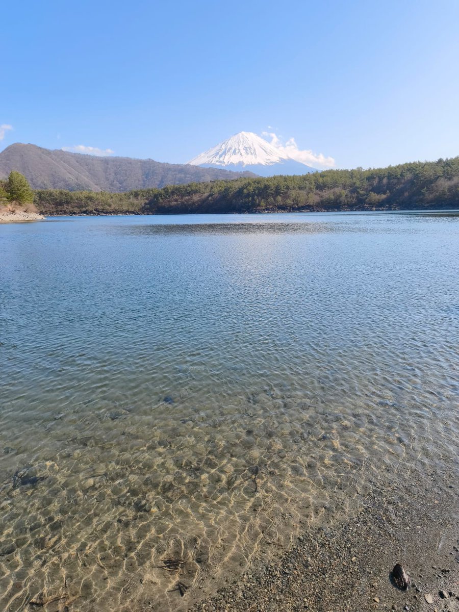 Xiǎo Guāngyǐng (小光影)🍁 tweet media