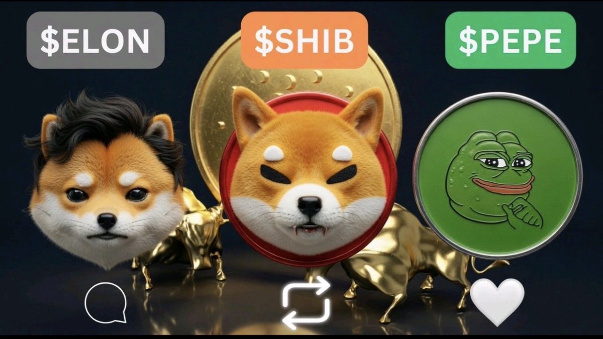 Big Dil $DOG tweet media