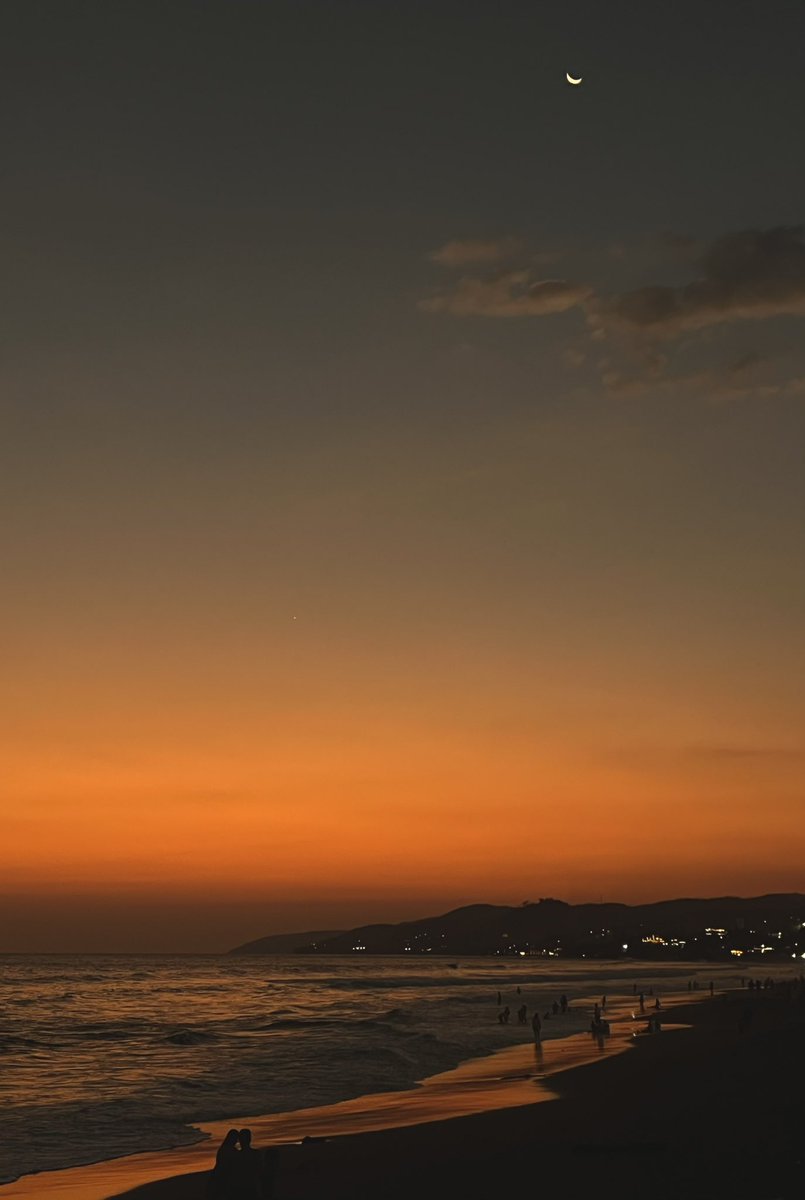 Cantar y cantar y cantar la belleza de ser un eterno aprendiz