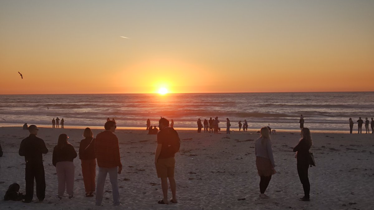 fmbsjyoung's tweet photo. 3月17～22日の日程で、米国・加州のAsilomar Conference Groundsにて33rd Fungal Genetics Conferenceが開催中です。トップ研究者が一堂に会し、我々若手としても非常に刺激的な機会になっています。学生によるFGC体験記が近日中に公開予定です。お楽しみに！#Fungal26 https://t.co/PTXd4tn8iv