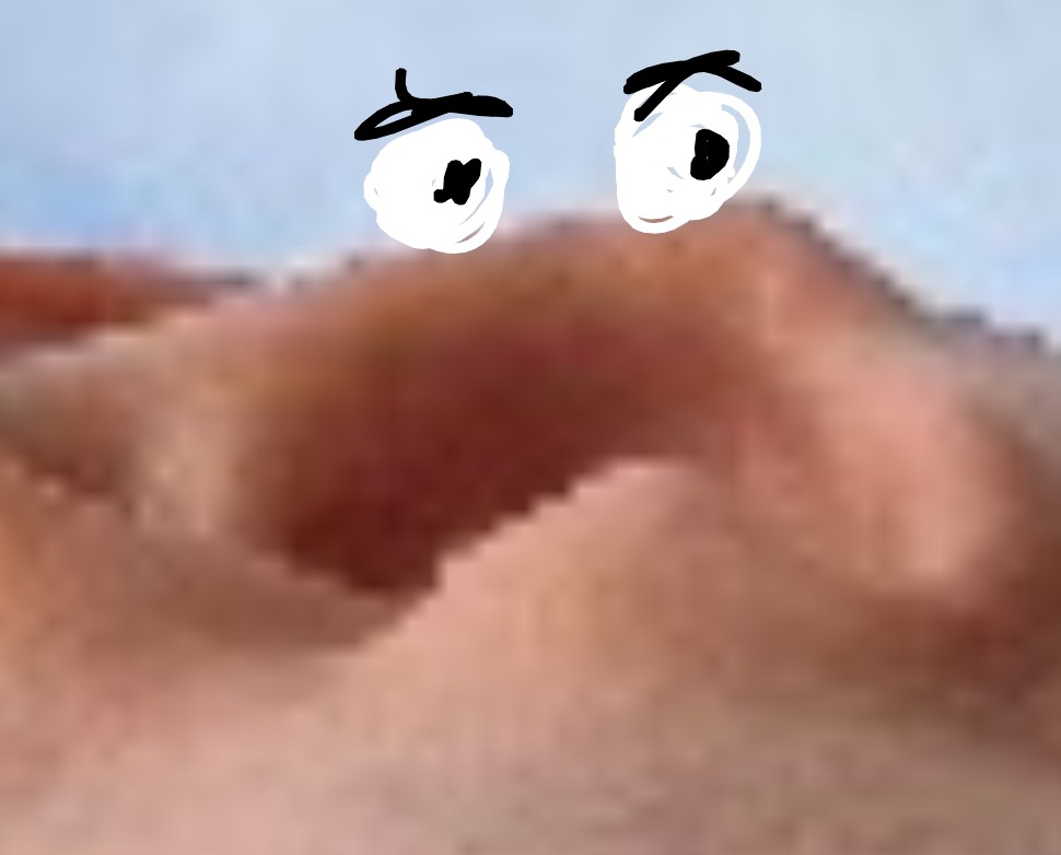 Raid Siren tweet media