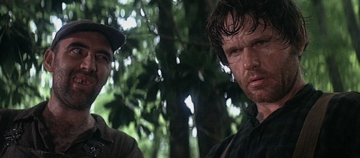 LOLOCGOP tweet media