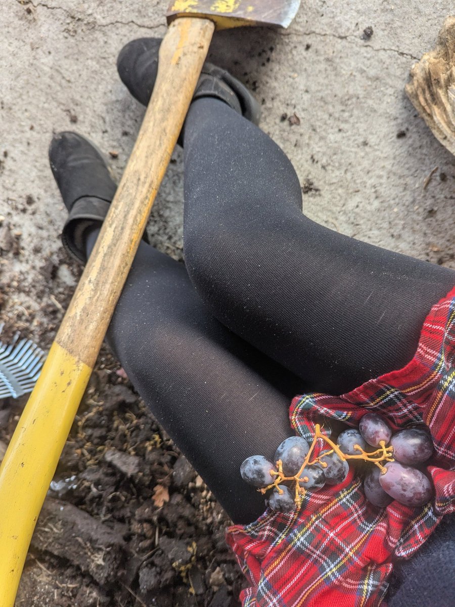 aoibha 🐇 ໒꒱ ‧₊˚ tweet media