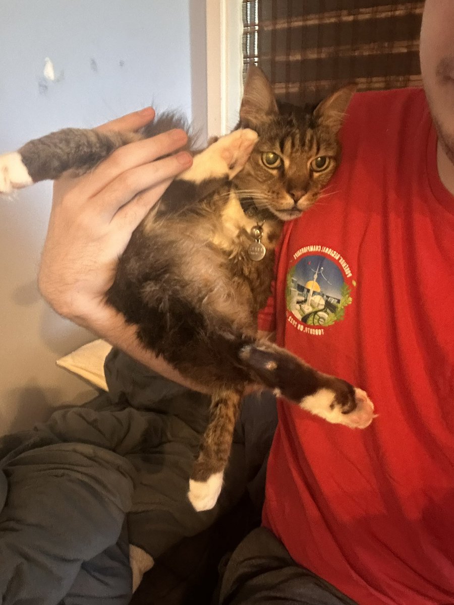 normal sam tweet media