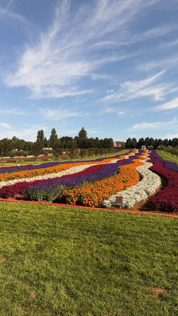 Krista 🌸✨ tweet media