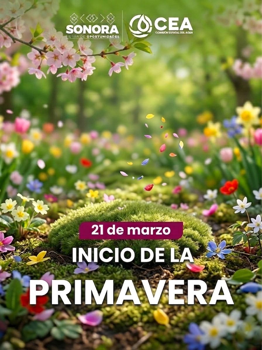CEA Sonora tweet media