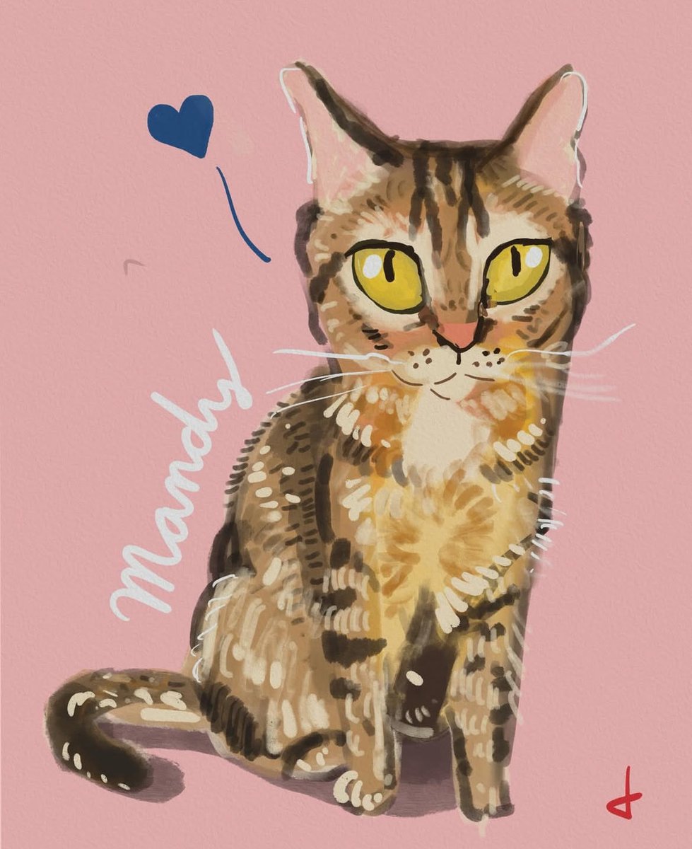 Diego Canales tweet media