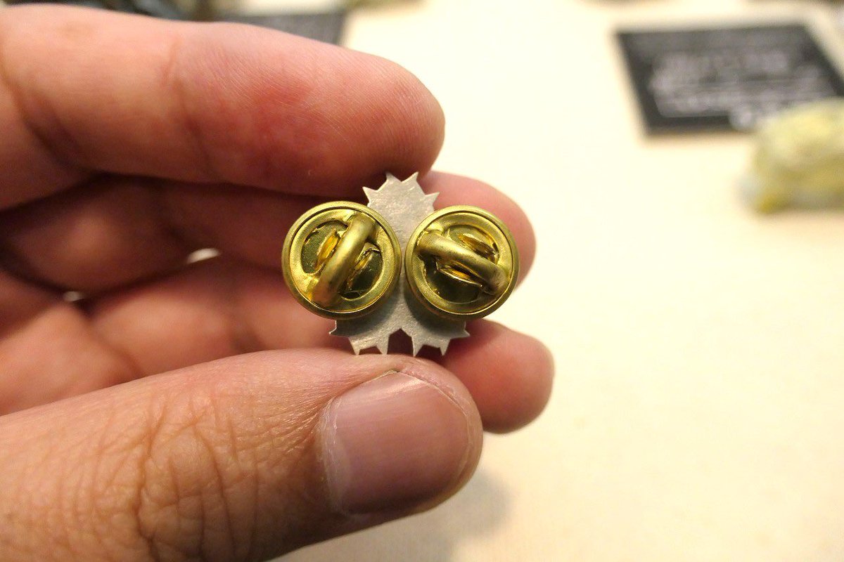 planevia tweet media