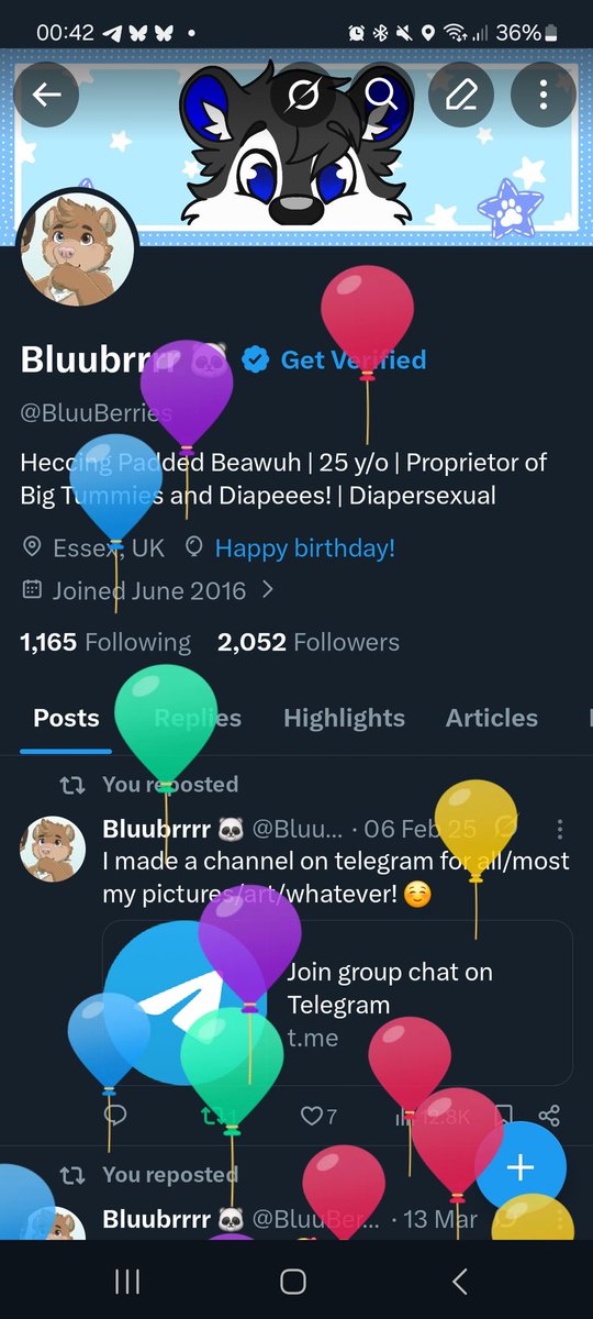 Bluubrrrr 🐼 tweet media