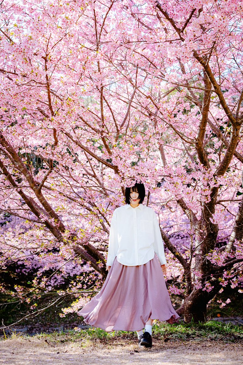 テツさん。12/11-14 個展「残映」ありがとうございました tweet media