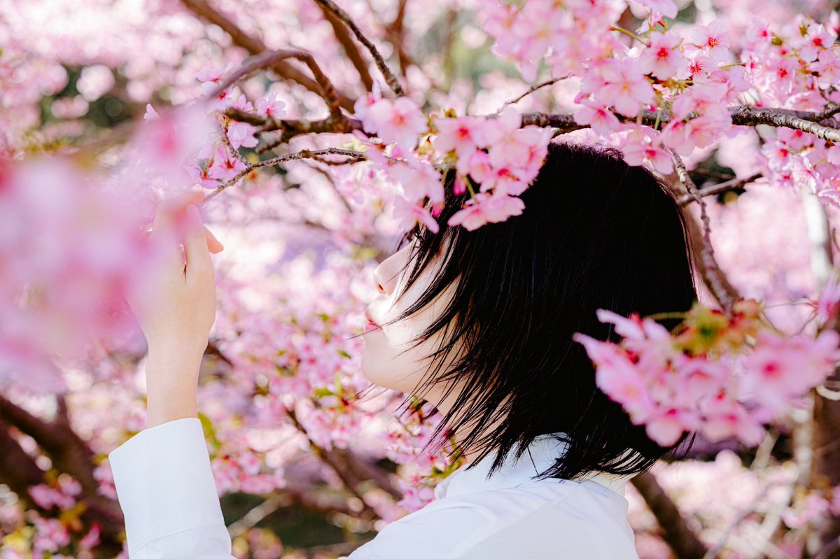 テツさん。12/11-14 個展「残映」ありがとうございました tweet media